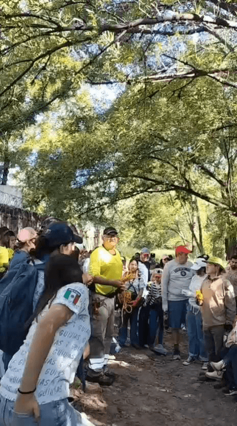 Actividad ambiental
